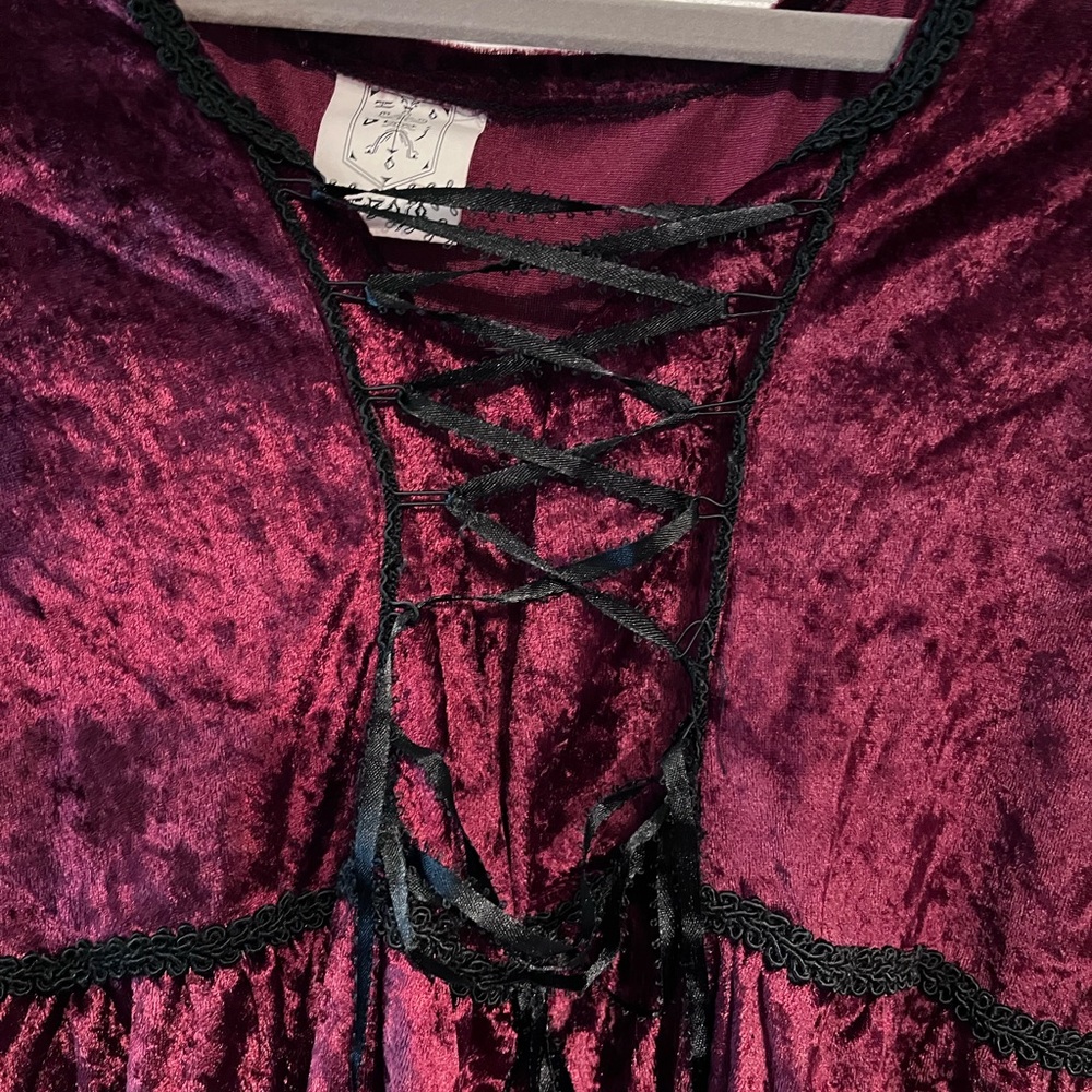 Elegant Wine Red Goth Velvet Gown - Picture 4 of 5